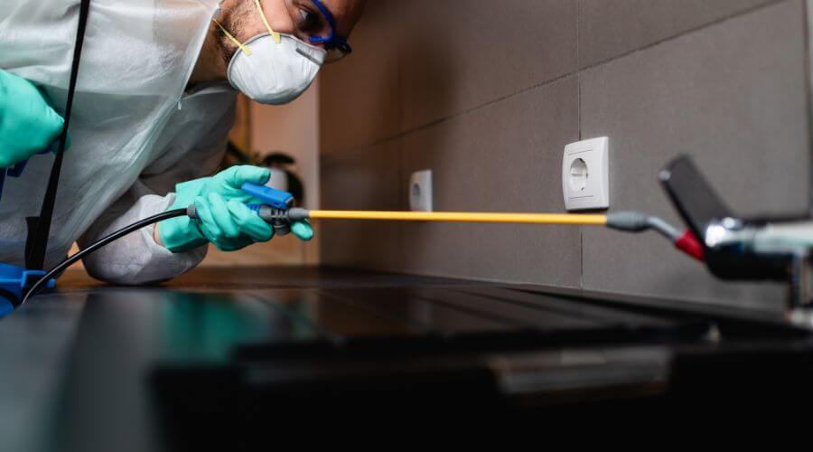 Why choose WNR Haysville for wasp nest removal in Haysville